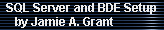 SQL Server and BDE Setup 
     by Jamie A. Grant