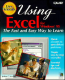 Using Excel for Windows 95 by Joshua C. Nossiter